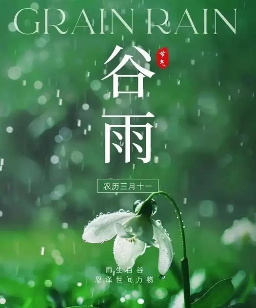 圖-谷雨節(jié)氣.jpg
