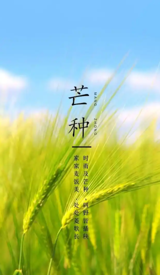 2025芒種